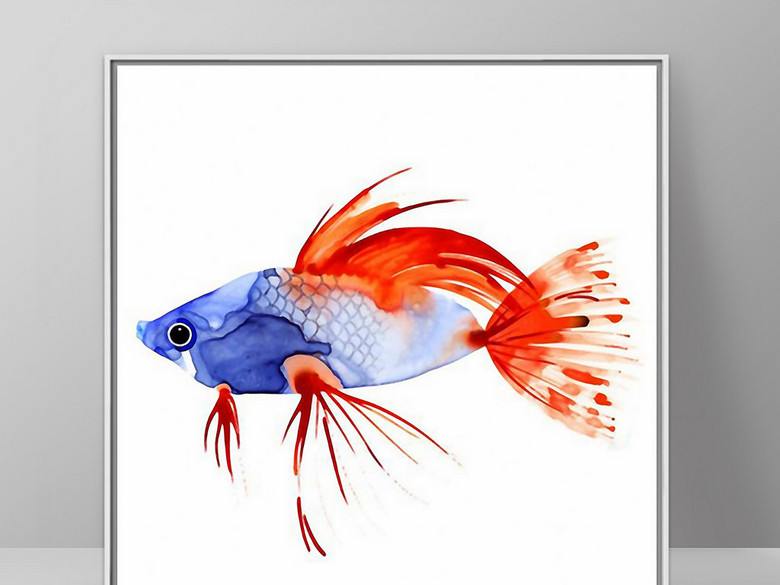 蓝红色斗鱼热带鱼欧式现代手绘水彩无框画(图