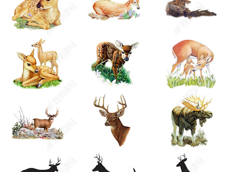 多款梅花鹿等鹿科免抠PNG透明素材图片图片