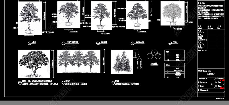 园林景观绿化设计、施工技术规范及种植大样图