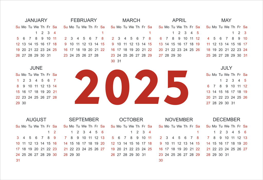 拍客的2025