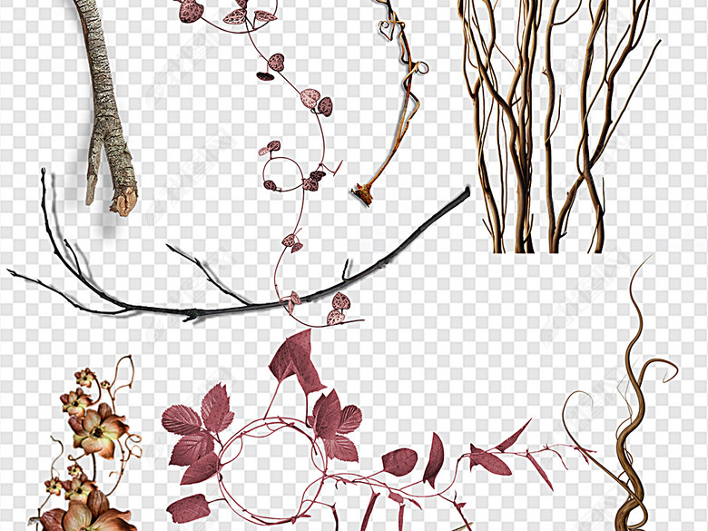 枯藤老树昏鸦枯藤花枯花藤枯藤叶枯藤枯叶图片