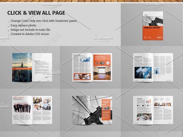 2017企业年度报告宣传画册模板(图片编号:160