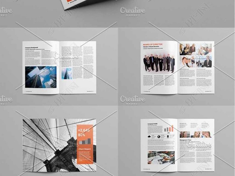2017企业年度报告宣传画册模板(图片编号:160