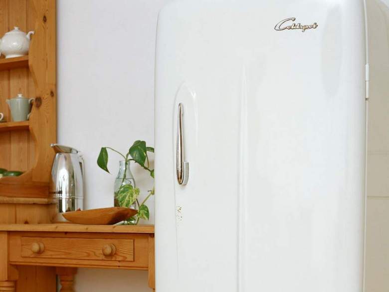 家居宠物小狗西洋狗类猫狗动物世界(图片编号