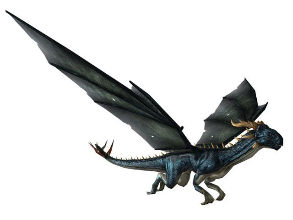 影视级西方龙，飞龙，怪龙五种颜色，带动画