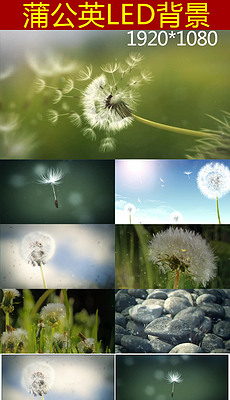 230x400a0a0