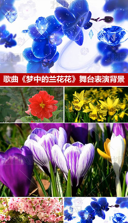 陶笛梦中的兰花花曲谱_陶笛曲谱12孔(2)