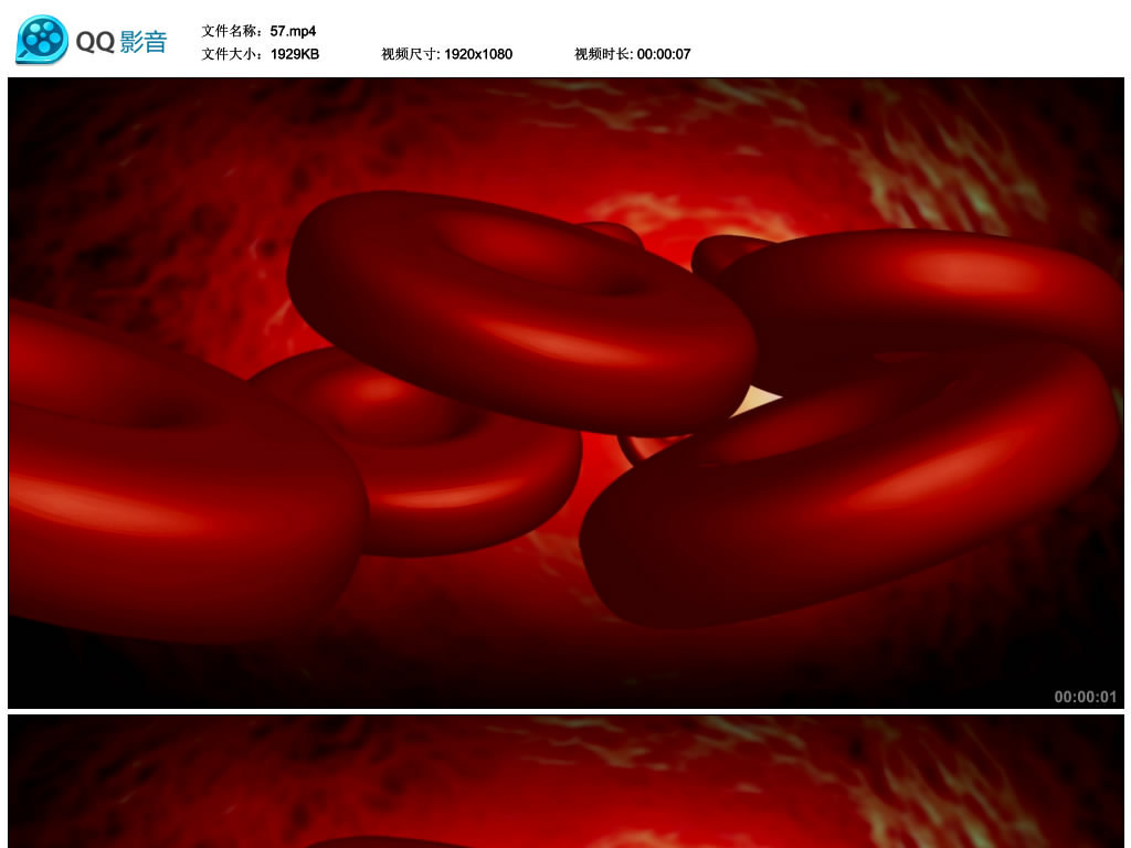 红色血液细胞医学医疗科普宣传广告视频
