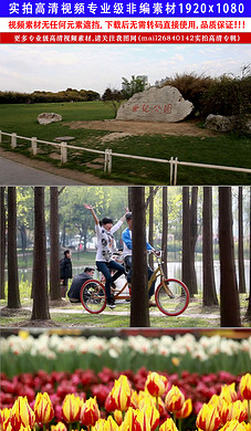 上海浦东国际机场日夜民航航班客机起飞降落