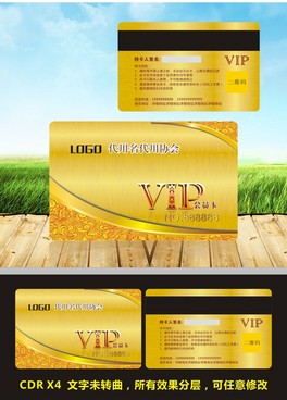 ɫVIPFeTݻy