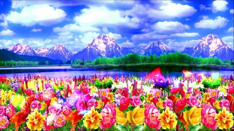 冰山之花.wmv模板素材_高清MP4格式下载(视