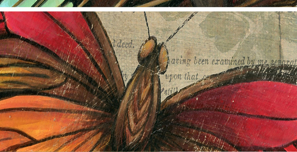 蝴蝶图片大全真实 16124326-7aacc6ddffcd33ead06a710452f3e250-2.jpg