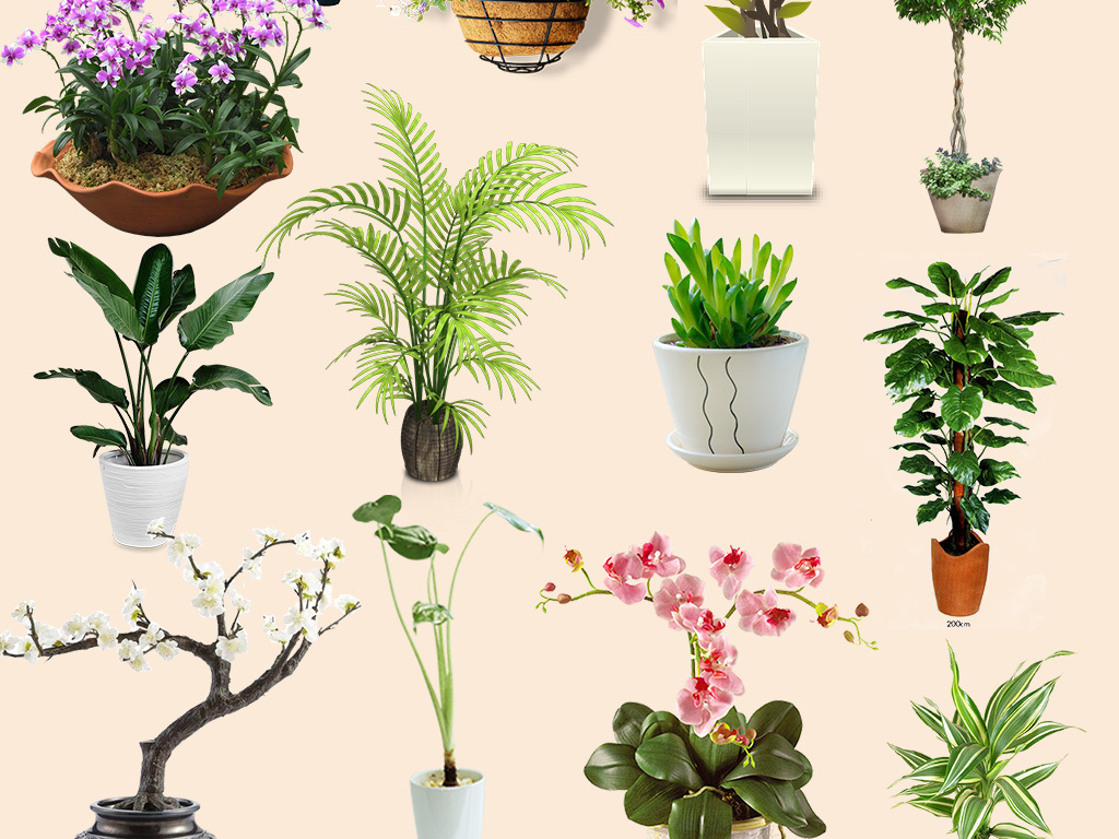 绿色植物鲜花盆栽图片海报素材设计_高清其他模板下载(20.97MB)QQF3398803分享_其他大全