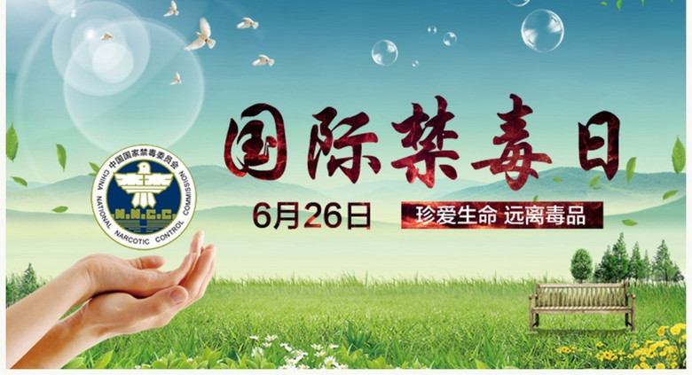 国际禁毒日国家禁毒委员会宣传工作PPT(图片