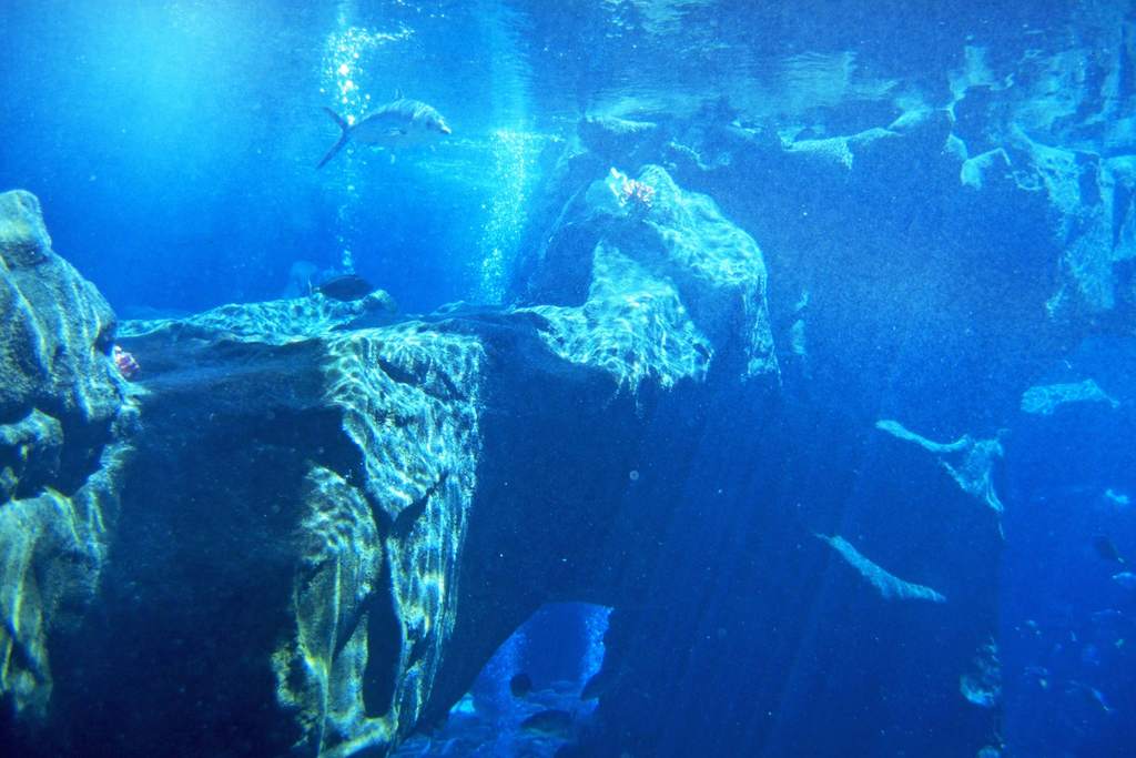 啥是海洋板 16158581-17a30cbb3620d2b1c6d8f69cd695f104.jpg