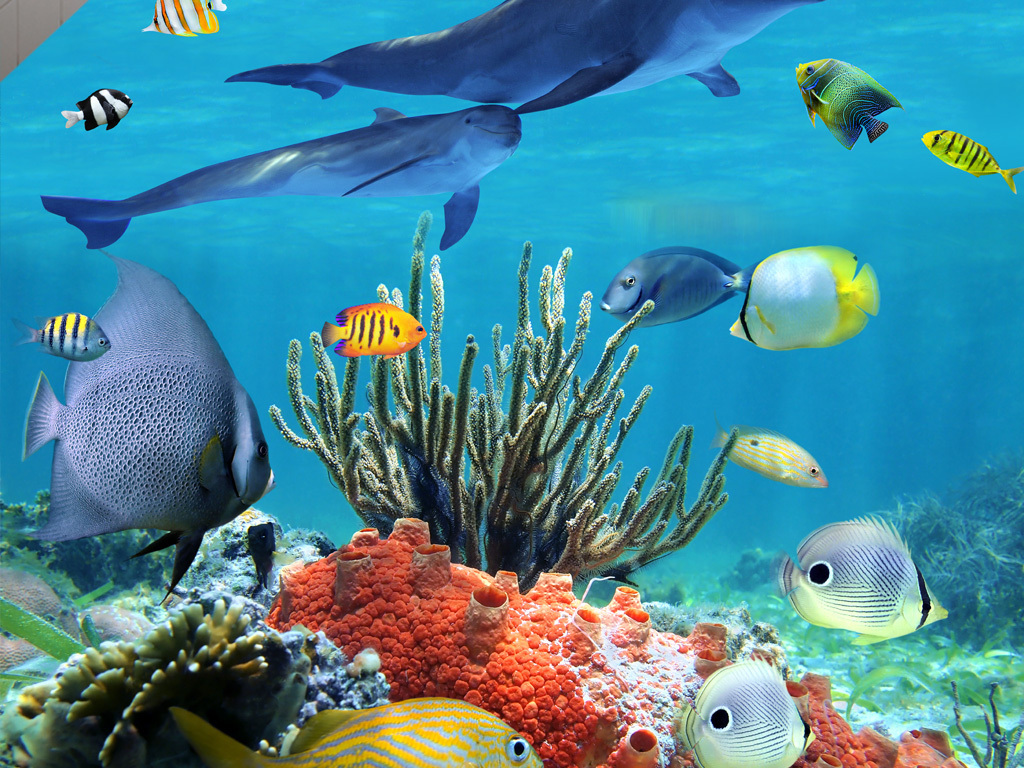 海底动物名称和它的生活方式 16168212-fb7e9d117c335063bf54b4f5015e431a-1.jpg