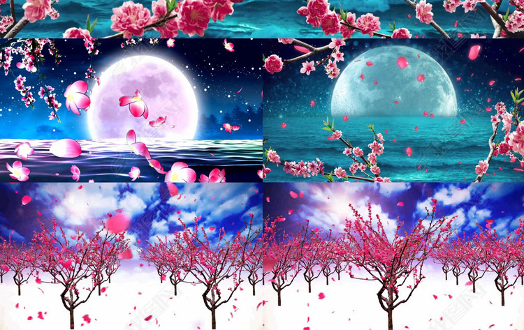 在那桃花盛开的地方歌曲配乐成品