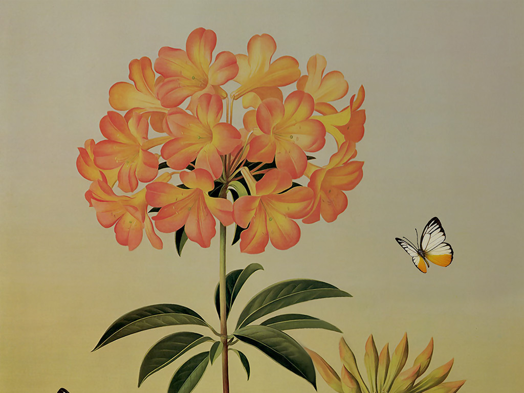 【本作品下载内容为:"欧式高清手绘绣球花背景墙壁画"模板,其他内容仅为参考,如需印刷成实物请先认真校稿,避免造成不必要的经济损失。】 【声明】未经权利人许可,任何人不得随意使用本网站的原创作品(含预览图),否则将按照我国著作权法的相关规定被要求承担最高达50万元人民币的赔偿责任。