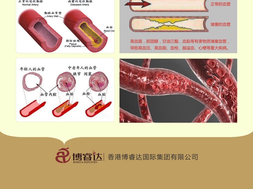 健康好生活排血毒肠道清理绿色背景