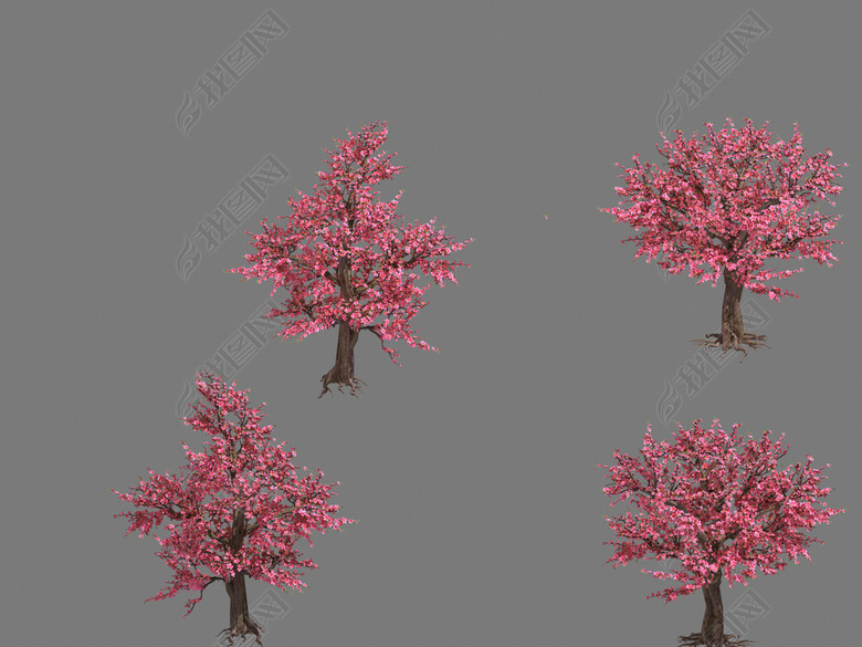粉红色3DMAX桃花树图片下载max素材