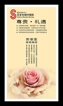 婚纱计划书_创业计划书封面(3)