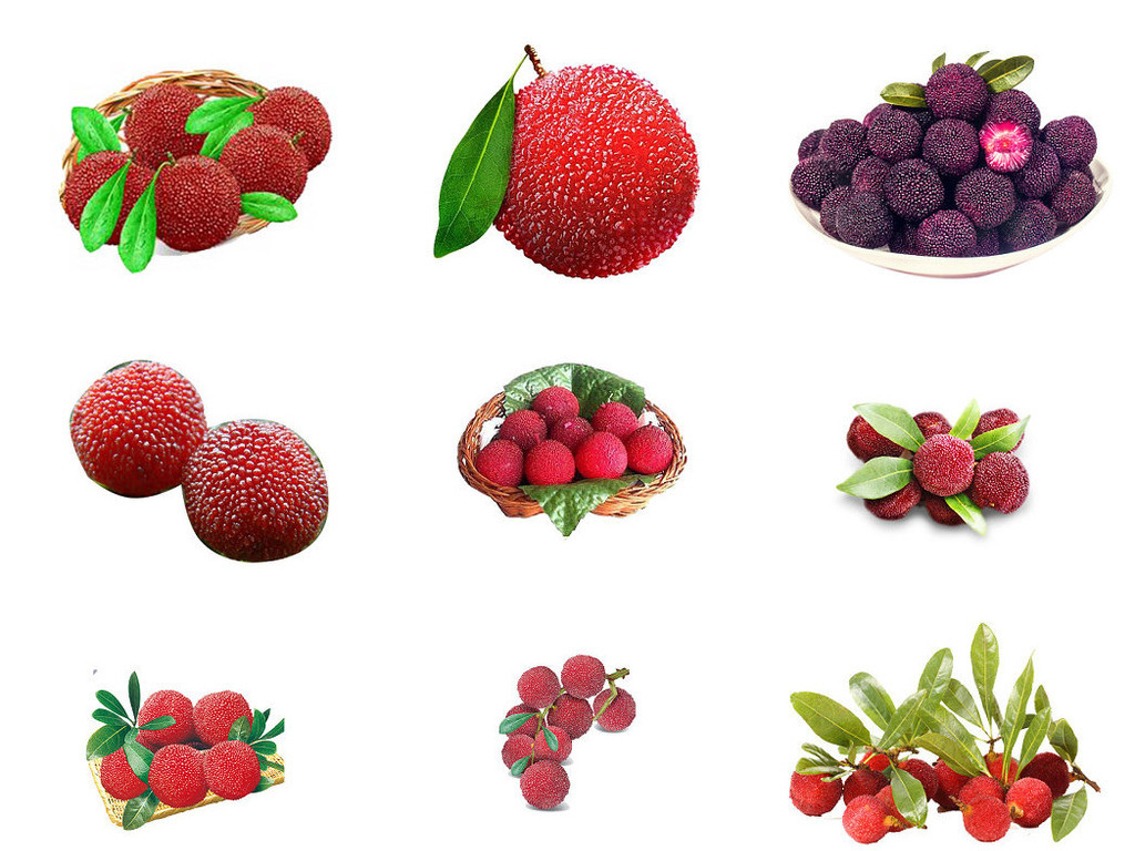 新鲜杨梅ps设计素材库