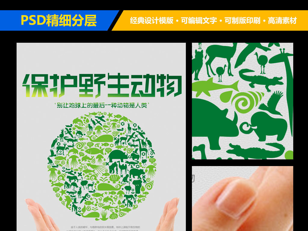 保护野生动物公益海报模板设计(图片编号:16266653)_动物世界 保护野生动物公益海报模板设计(图片编号:16266653)