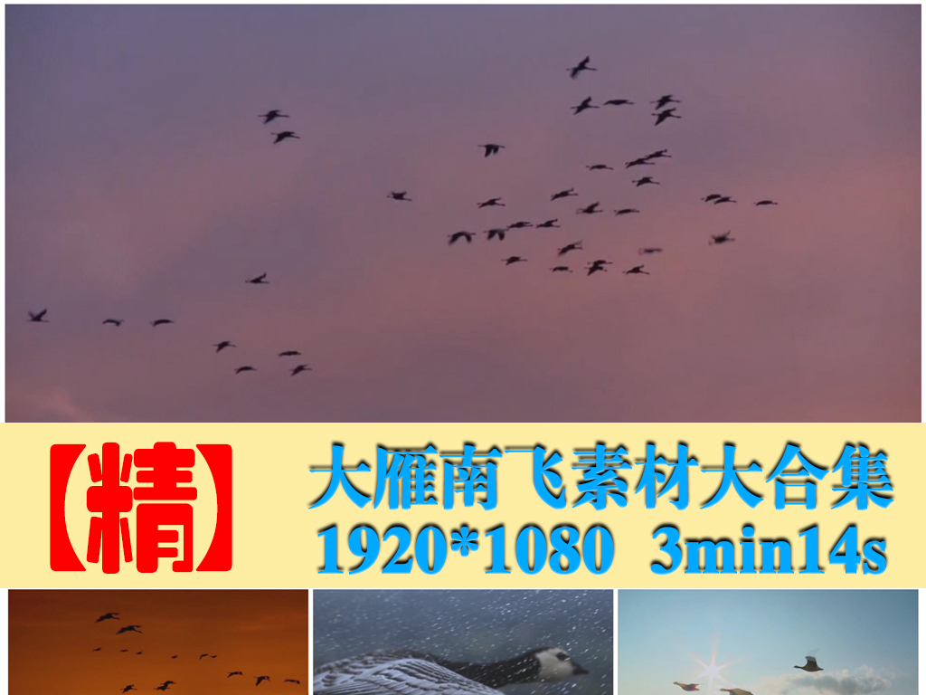 大雁南飞简谱_大雁南飞排队队简谱(2)
