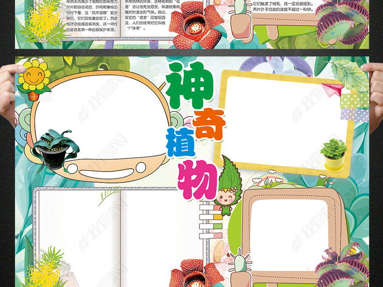 植物小报神奇的植物世界手抄报电子小报图片下