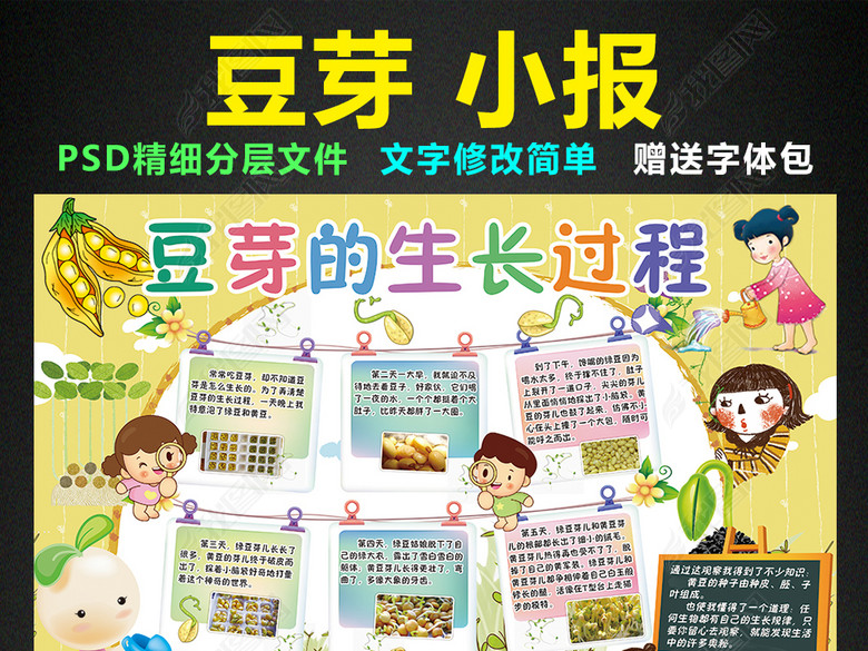 植物小报豆芽生长过程观察手抄报电子小报图片