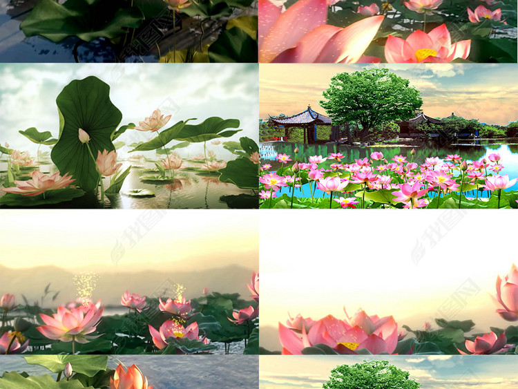 出水莲LED背景视频素材