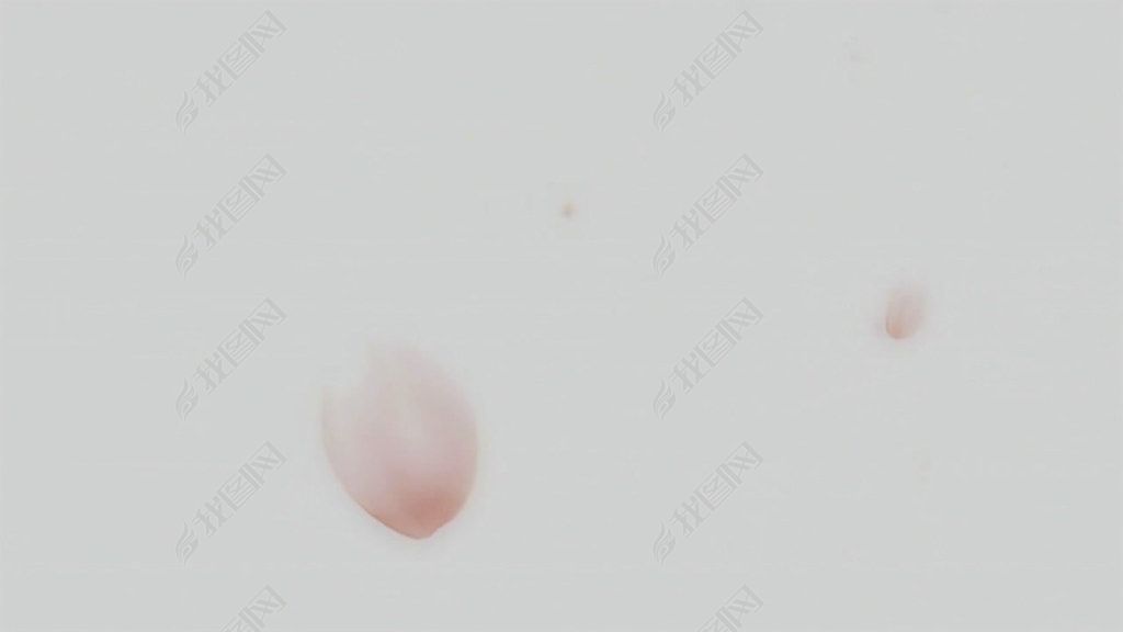 歌曲舞蹈《惊鸿舞》完整视频