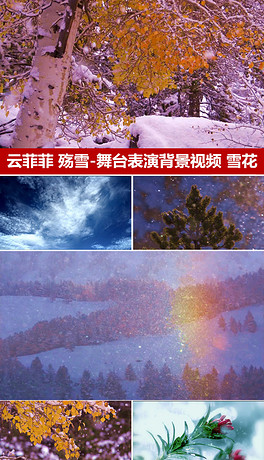 云菲菲的殇雪简谱_云菲菲殇雪图片