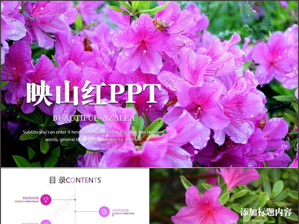映山红曲谱动态图_映山红曲谱