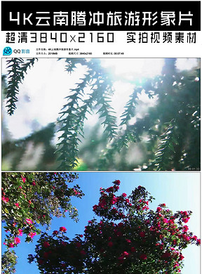 蜜蜂来采蜜完整视频 288x390a0a0