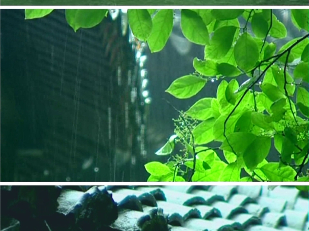 春雨清明时节雨纷纷下雨屋檐雨滴