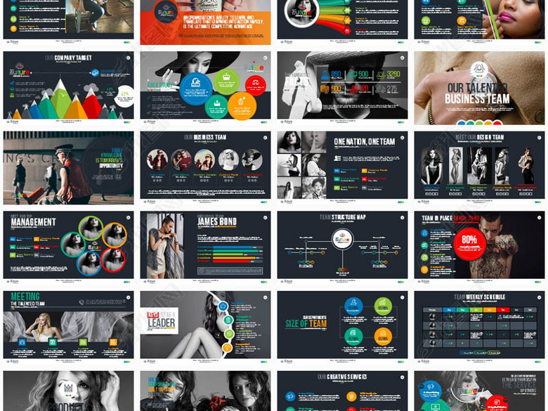 百强企业营销策划成功商业计划书ppt案例(图片