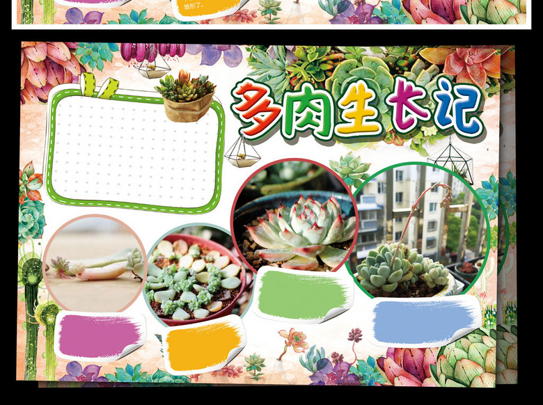 多肉植物生长小报电子小报(图片编号:1641383