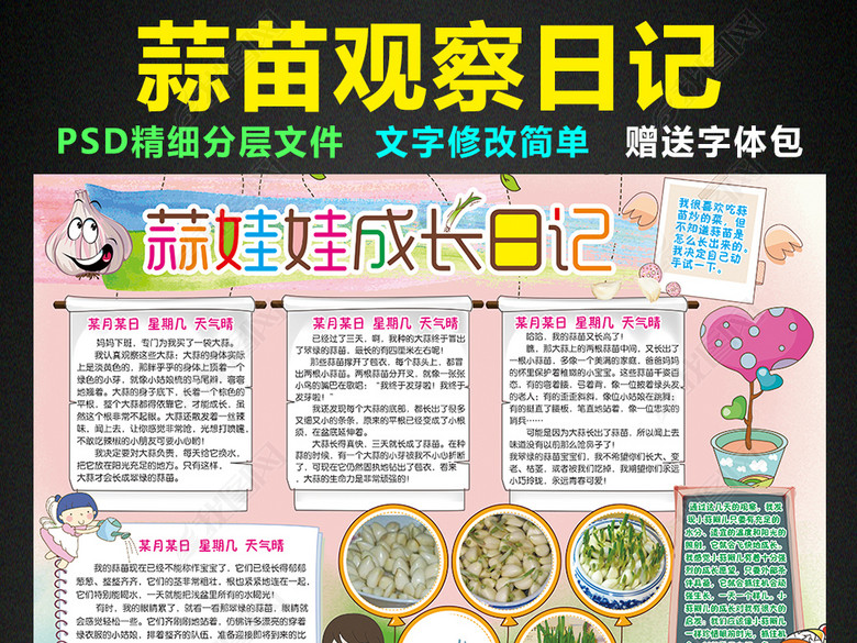 大蒜成长日记小报植物生长手抄报电子小报图片