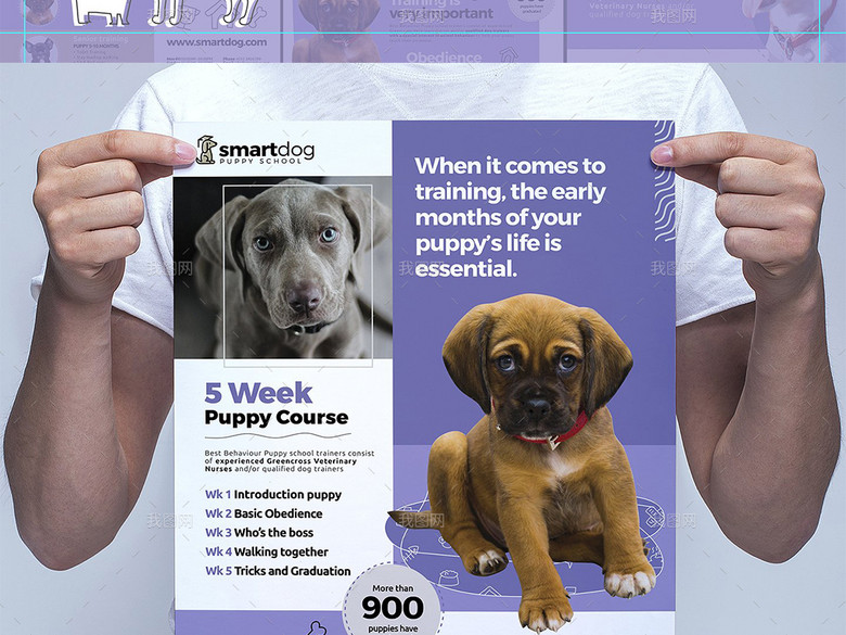 宠物医院学校宣传海报三折页宣传单名片卡片(