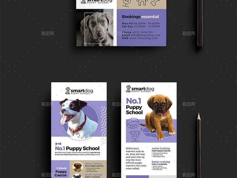 宠物医院学校宣传海报三折页宣传单名片卡片(