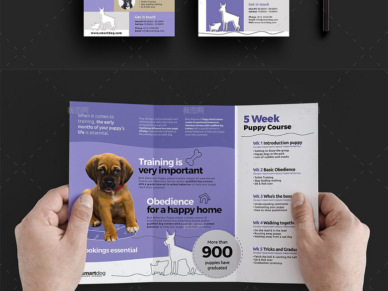 宠物医院学校宣传海报三折页宣传单名片卡片(
