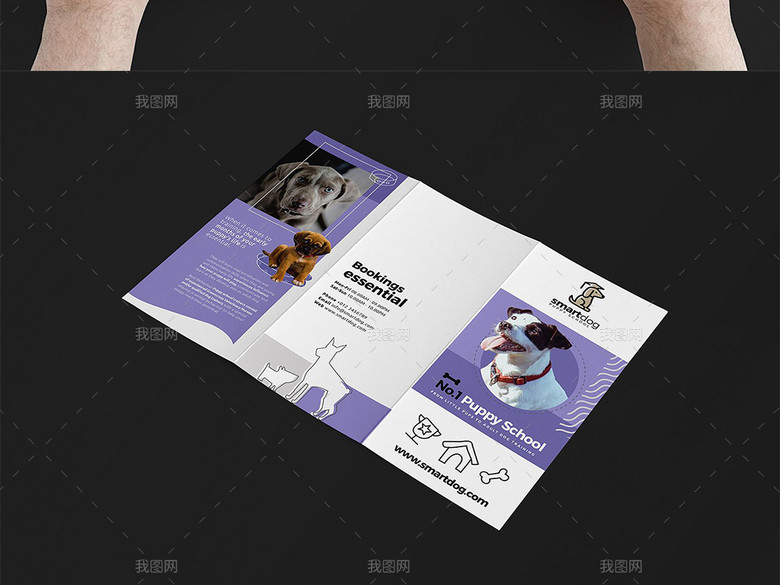 宠物医院学校宣传海报三折页宣传单名片卡片(