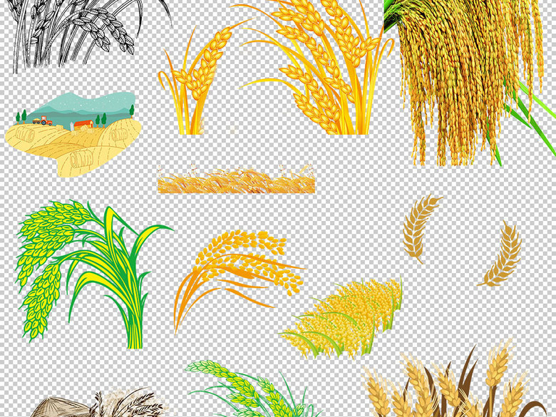 小麦稻谷农产品食物png免扣素材(图片编号:16