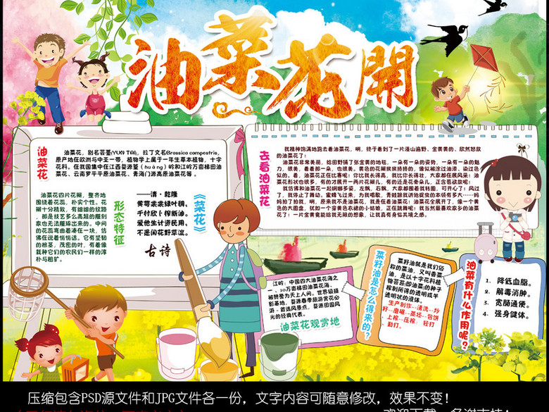 油菜花小报春天踏青旅游手抄报电子小报(图片