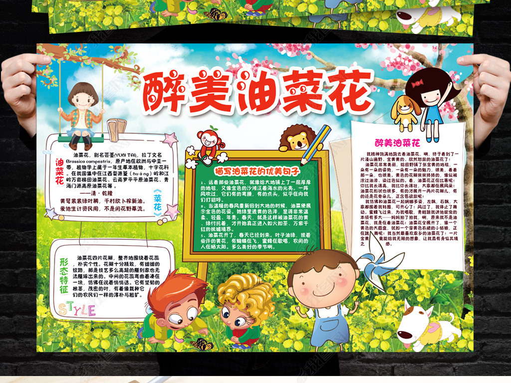 油菜花小报春天踏青旅游手抄报电子小报