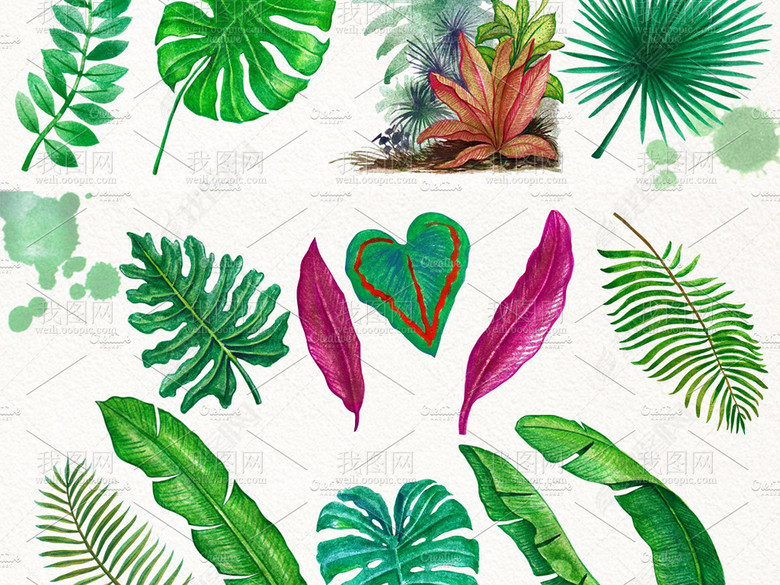 水彩画丛林中的热带叶子绿叶边框等海报必备设