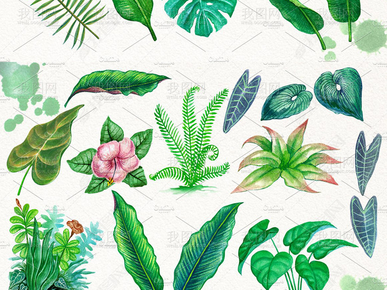 水彩画丛林中的热带叶子绿叶边框等海报必备设