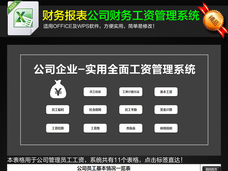 标准版公司企业财务工资管理系统表格(图片编