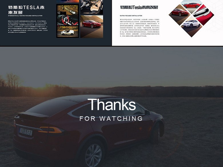 新能源汽车特斯拉tesla营销策划ppt(图片编号:1